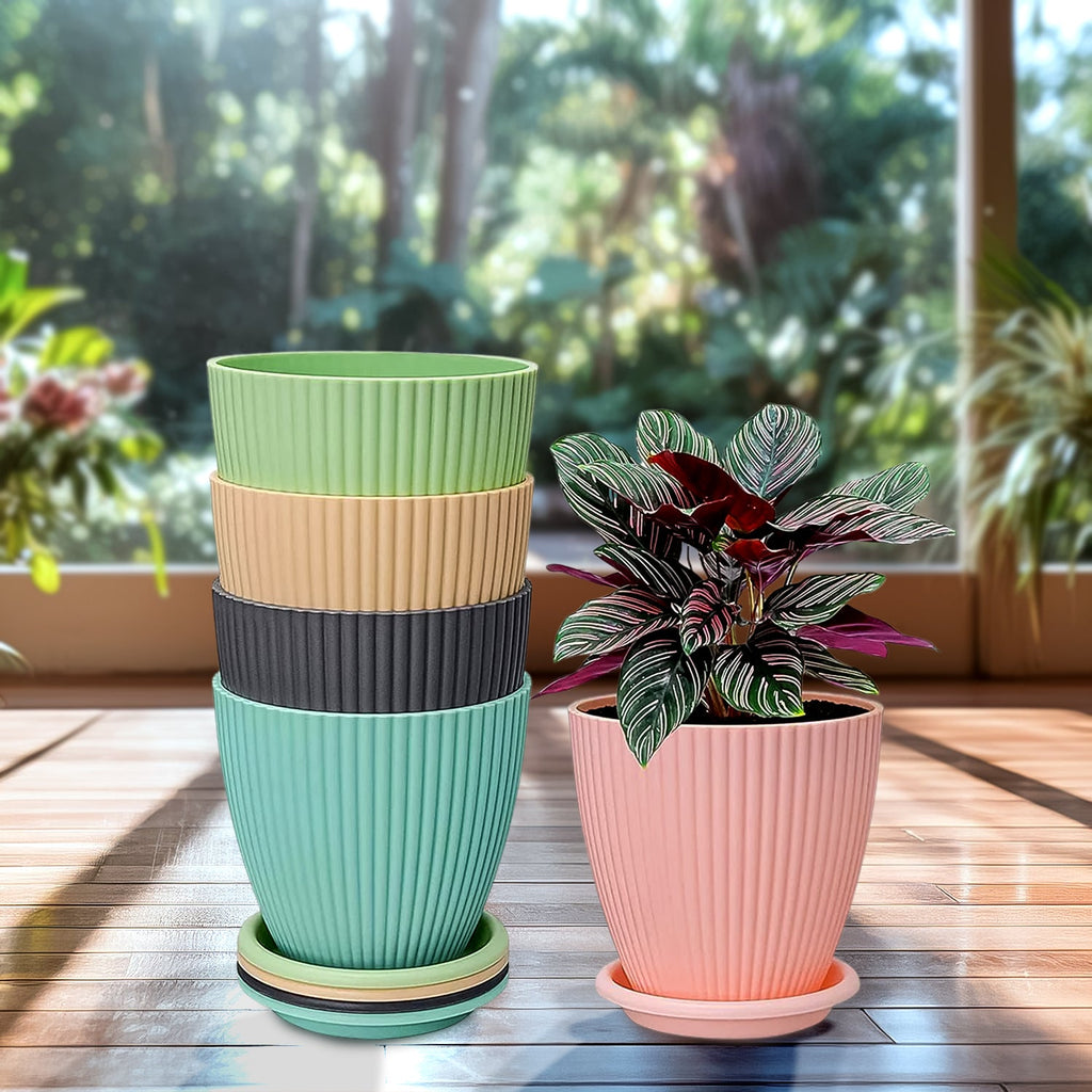 Close-up of a white round flower pot with a matching bottom tray.