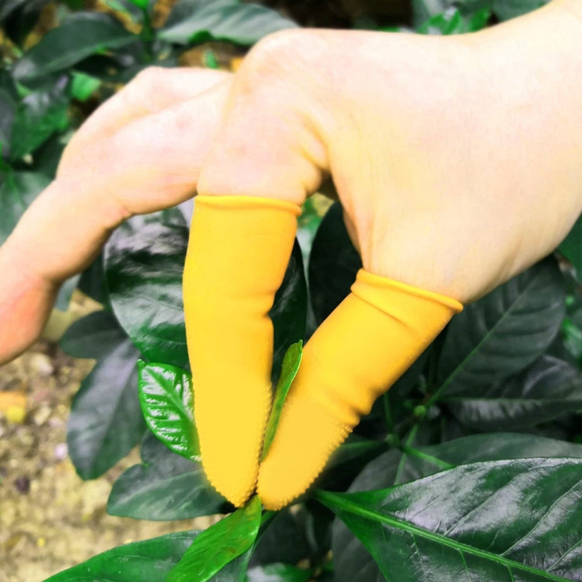 Silicone Finger Protectors displayed, showing their flexible and translucent design.