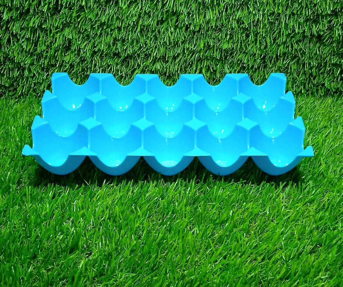 The 15 egg storage tray with its transparent lid securely closed.